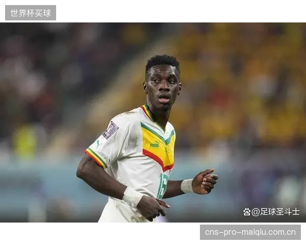 经验丰富的防守核心压阵，塞内加尔的后场稳定性将是非洲球队中的佼佼者。